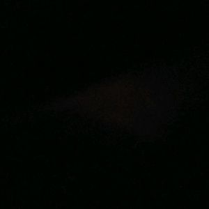 Meet your Posher, Tinno